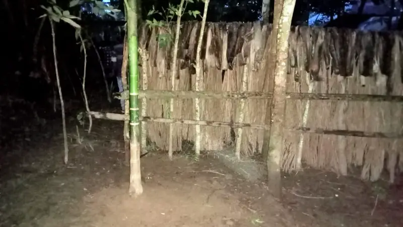 পিরোজপুরে বাড়ির রাস্তায় বেড়া ও গাছ রোপণ, ৯ দিন অবরুদ্ধ ৭ পরিবার পিরোজপুরে বাড়ির রাস্তায় বেড়া ও গাছ রোপণ, ৯ দিন অবরুদ্ধ ৭ পরিবার