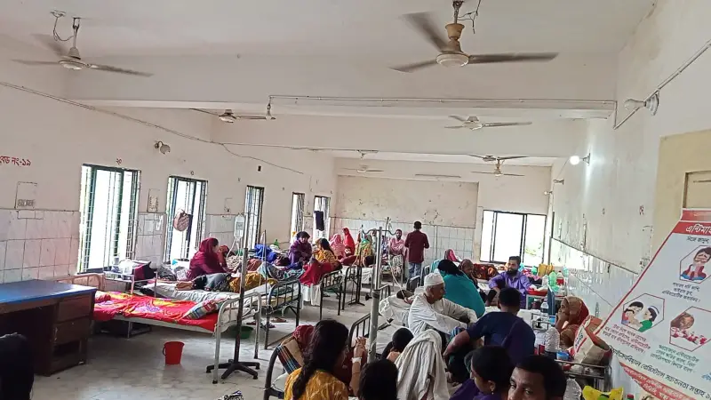 নেছারাবাদে বাড়ছে ডেঙ্গুর প্রভাব, ২৪ ঘণ্টায় হাসপাতালে ভর্তি ৫ জন নেছারাবাদে বাড়ছে ডেঙ্গুর প্রভাব, ২৪ ঘণ্টায় হাসপাতালে ভর্তি ৫ জন