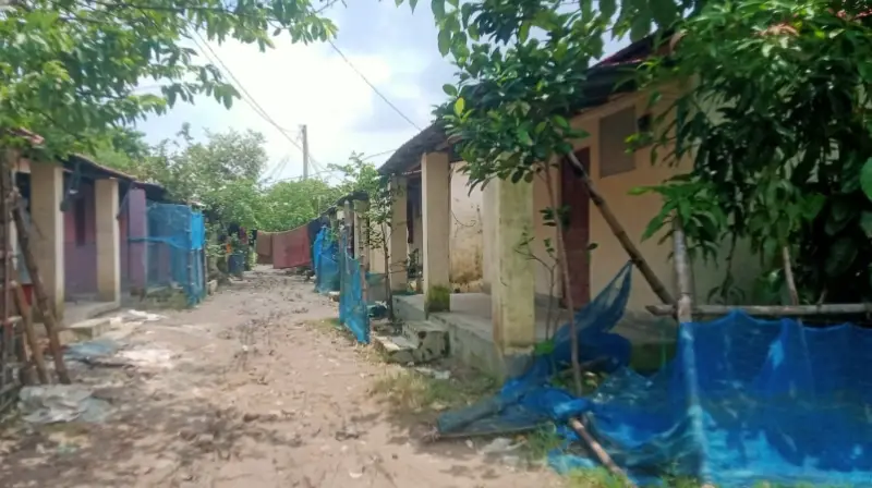 রামগঞ্জে আশ্রয়ণের ফাঁকা ঘরে মাদকসেবীদের নিরাপদ আস্তানা রামগঞ্জে আশ্রয়ণের ফাঁকা ঘরে মাদকসেবীদের নিরাপদ আস্তানা