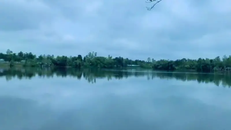 পঞ্চগড়ের কাজলদীঘি: ইতিহাসের নীরব সাক্ষী পঞ্চগড়ের কাজলদীঘি: ইতিহাসের নীরব সাক্ষী