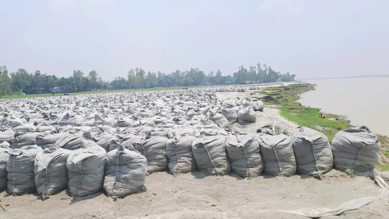 কচ্ছপ গ‌তি‌তে চল‌ছে পাউবোর ডা‌ম্পিং, ভি‌টে হারিয়ে নিঃশ্ব হচ্ছে মানুষ