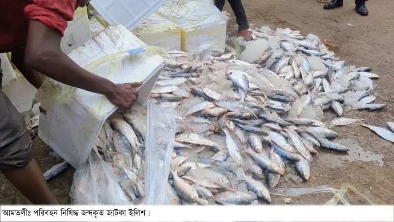 যাত্রীদের ৯৯৯ ফোনে জাটকা ইলিশ জব্দ যাত্রীদের ৯৯৯ ফোনে জাটকা ইলিশ জব্দ