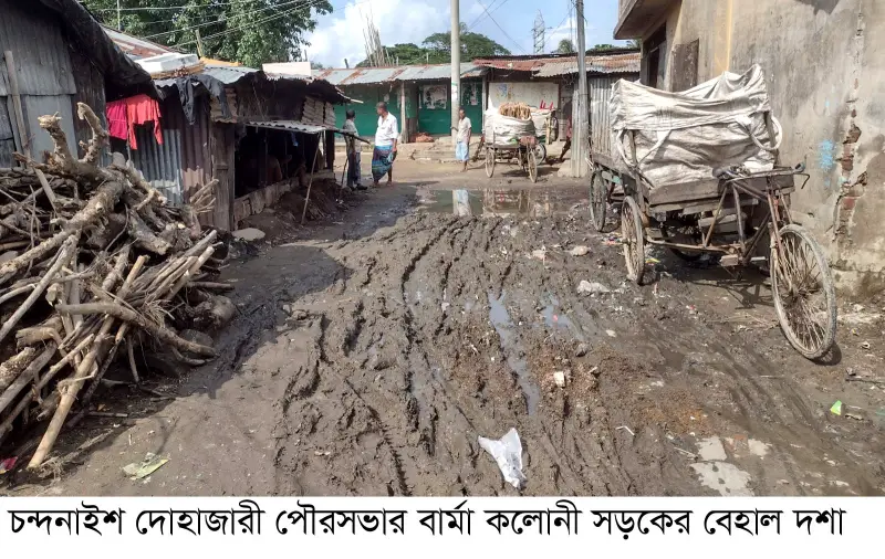 চট্টগ্রামের চন্দনাইশ দোহাজারী বার্মা কলোনী সড়ক নয়, যেন চাষের জমি চট্টগ্রামের চন্দনাইশ দোহাজারী বার্মা কলোনী সড়ক নয়, যেন চাষের জমি