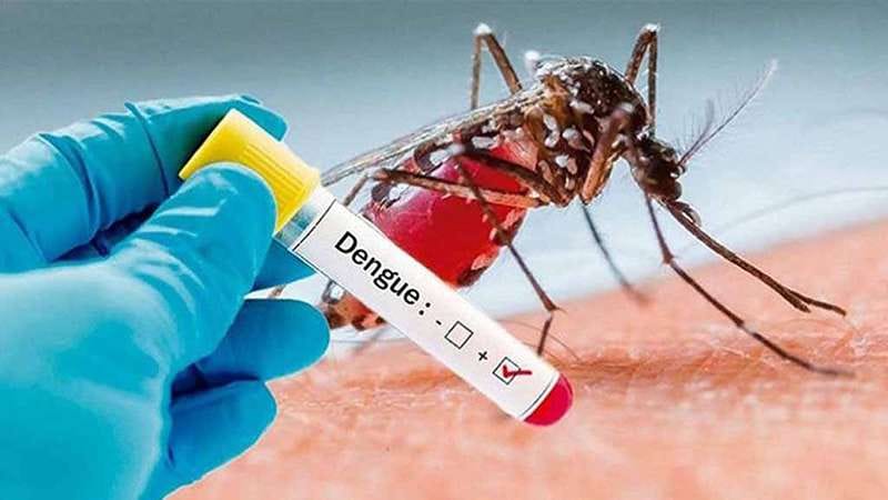 কলাপাড়ায় ডেঙ্গু আক্রান্ত বৃদ্ধের মৃত্যু কলাপাড়ায় ডেঙ্গু আক্রান্ত বৃদ্ধের মৃত্যু