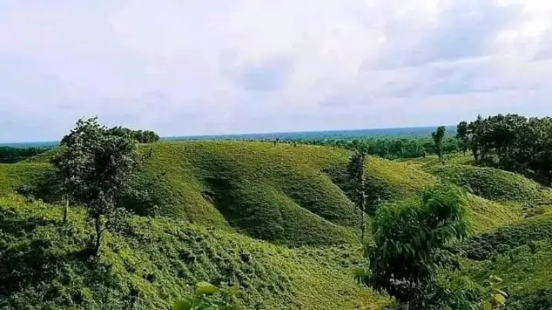 শেরপুরের গারো পাহাড়ের সবুজ স্নিগ্ধতা, প্রকৃতির অপার রহস্যঘেরা ভাণ্ডার শেরপুরের গারো পাহাড়ের সবুজ স্নিগ্ধতা, প্রকৃতির অপার রহস্যঘেরা ভাণ্ডার