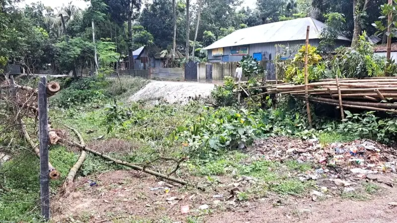 ব্যক্তিগত জমিসহ সরকারি হালট দখলের অভিযোগ ব্যক্তিগত জমিসহ সরকারি হালট দখলের অভিযোগ