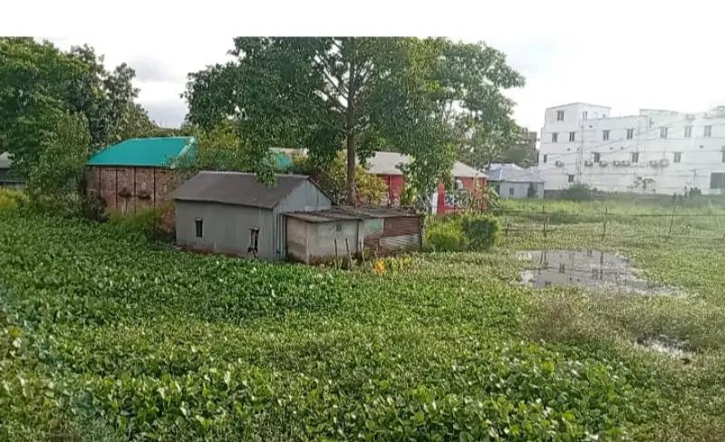 ভাঙ্গায় জলাবদ্ধতার সমাধান চায় পৌরবাসী ভাঙ্গায় জলাবদ্ধতার সমাধান চায় পৌরবাসী