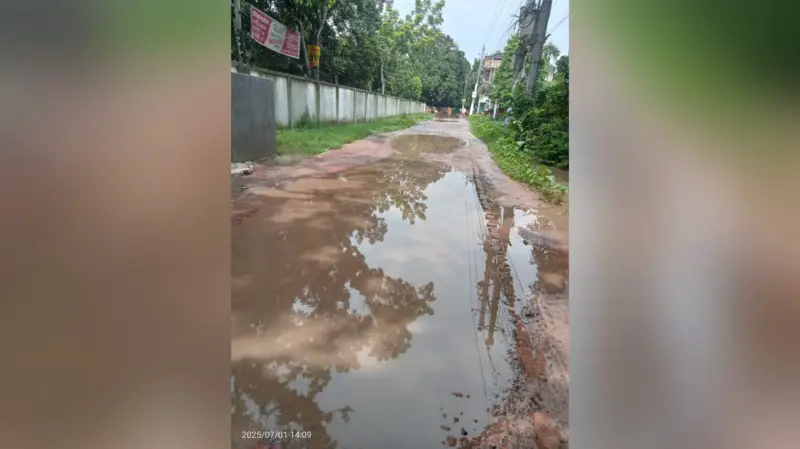 সাতক্ষীরা সরকারি কলেজ–মাছখোলা রোডের বেহাল দশা: শিক্ষার্থীদের চরম দুর্ভোগ সাতক্ষীরা সরকারি কলেজ–মাছখোলা রোডের বেহাল দশা: শিক্ষার্থীদের চরম দুর্ভোগ