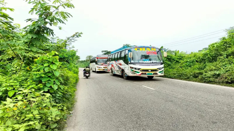 ঢাকা বরিশাল মহাসড়কের ফুটপাত জঙ্গলে ঢাকা পড়েছে, ঘটছে দুর্ঘটনা ঢাকা বরিশাল মহাসড়কের ফুটপাত জঙ্গলে ঢাকা পড়েছে, ঘটছে দুর্ঘটনা