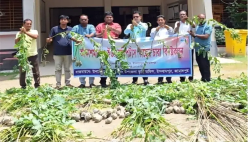 জামালপুরের ইসলামপুরে ইউক্যালিপটাস ও আকাশমনি গাছের চারা ধ্বংসে প্রণোদনা