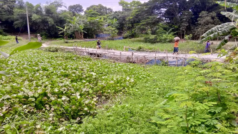 রাতের আঁধারে খালের ওপর রাস্তা নির্মাণ, জানেন না  পিআইও