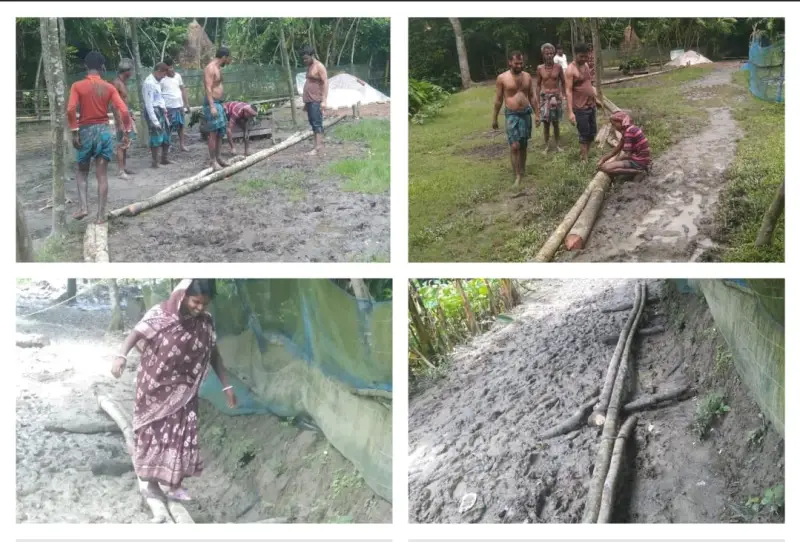 বাকেরগঞ্জে সড়কের উপর গাছের সাঁকো, দুর্ভোগে হাজারো মানুষ বাকেরগঞ্জে সড়কের উপর গাছের সাঁকো, দুর্ভোগে হাজারো মানুষ