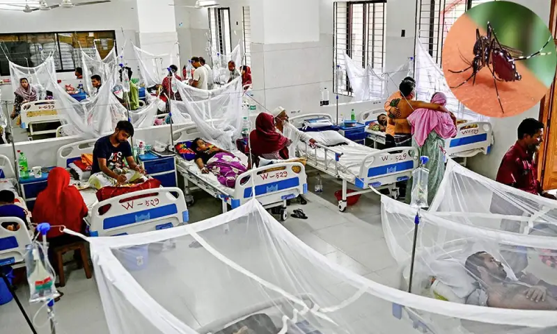 বরিশালে ডেঙ্গু আক্রান্ত দুইজনের মৃত্যু বরিশালে ডেঙ্গু আক্রান্ত দুইজনের মৃত্যু
