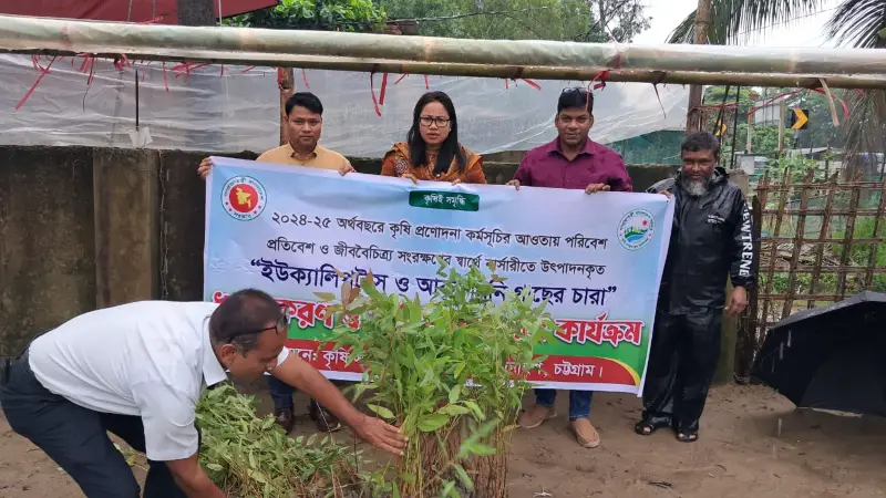 আকাশমনি ও ইউক্যালিপটাসের চারা ধ্বংস ও ক্ষতিপূরন কার্যক্রম আকাশমনি ও ইউক্যালিপটাসের চারা ধ্বংস ও ক্ষতিপূরন কার্যক্রম
