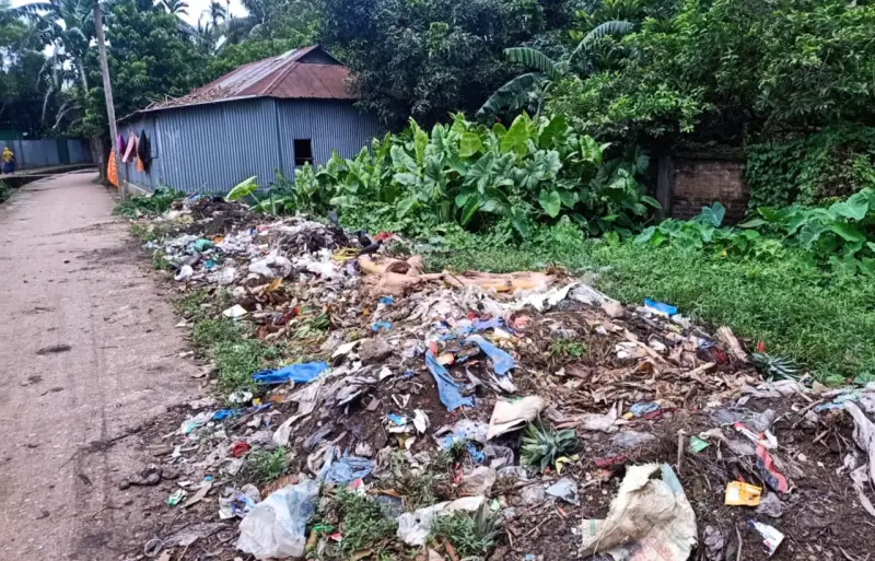 নেই কোনো ডাম্পিং ইয়ার্ড: খোলা জায়গায় ফেলা হচ্ছে ময়লার ভাগাড় নেই কোনো ডাম্পিং ইয়ার্ড: খোলা জায়গায় ফেলা হচ্ছে ময়লার ভাগাড়