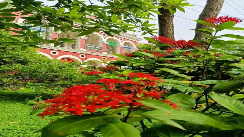 ফুলেল রাজশাহী কলেজ ক্যাম্পাস: এক জীবন্ত চিত্রকর্ম ফুলেল রাজশাহী কলেজ ক্যাম্পাস: এক জীবন্ত চিত্রকর্ম