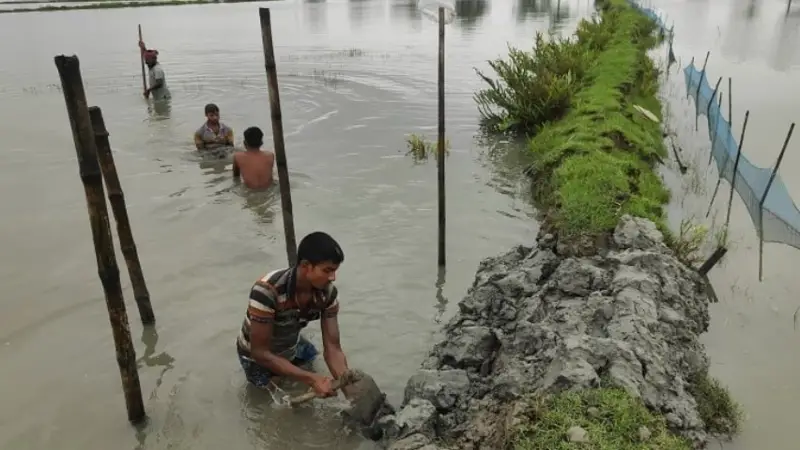 বাগেরহাটে ভারী বর্ষণে ৯ শতাধিক মৎস্য ঘেরসহ কৃষিতে ক্ষতি