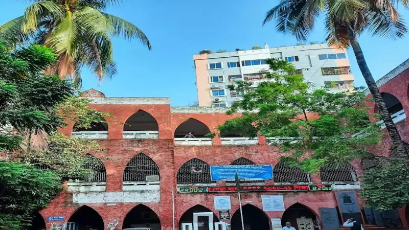 কলেজের পূর্ব পাশে প্রাচীন নিমগাছ : সবুজের নিঃশব্দ পাহারাদার কলেজের পূর্ব পাশে প্রাচীন নিমগাছ : সবুজের নিঃশব্দ পাহারাদার