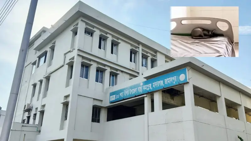 মাদারগঞ্জ হাসপাতালে বিশৃঙ্খলা: টেকনিশিয়ান চিকিৎসক, শিয়াল রুগীর বিছানায় মাদারগঞ্জ হাসপাতালে বিশৃঙ্খলা: টেকনিশিয়ান চিকিৎসক, শিয়াল রুগীর বিছানায়