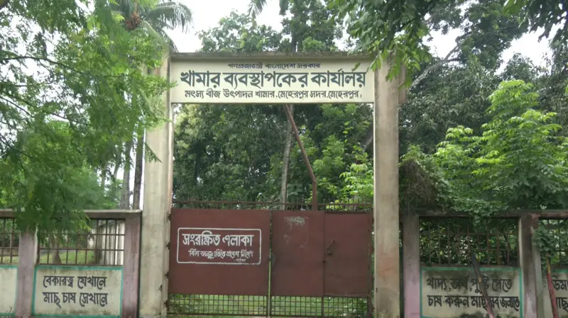 রেণু উৎপাদনে ভাটা, মাছচাষে ধস, অচল মেহেরপুরের সরকারি মৎস্য খামার! রেণু উৎপাদনে ভাটা, মাছচাষে ধস, অচল মেহেরপুরের সরকারি মৎস্য খামার!
