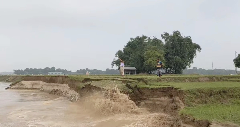 চাঁপাইনবাবগঞ্জে পদ্মা-মহানন্দার ভাঙনে বিলীন হচ্ছে ঘরবাড়ি চাঁপাইনবাবগঞ্জে পদ্মা-মহানন্দার ভাঙনে বিলীন হচ্ছে ঘরবাড়ি