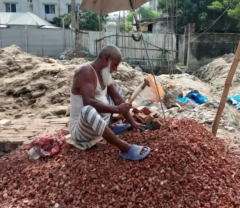 জীবনের শেষ সময়েও ইটের খোয়া ভেঙ্গে চালাতে সংসার জীবনের শেষ সময়েও ইটের খোয়া ভেঙ্গে চালাতে সংসার