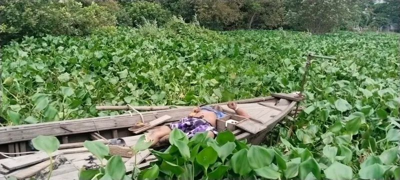 মুন্সীগঞ্জে বালুমহালের আধিপত্য বিস্তার নিয়ে দুই গ্রুপের সংঘর্ষে শ্যুটার মান্নান নিহত, আহত ৪