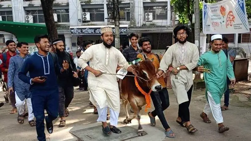 জুলাই বিপ্লবে বিজয়ের আনন্দে জবিতে গরুভোজ জুলাই বিপ্লবে বিজয়ের আনন্দে জবিতে গরুভোজ