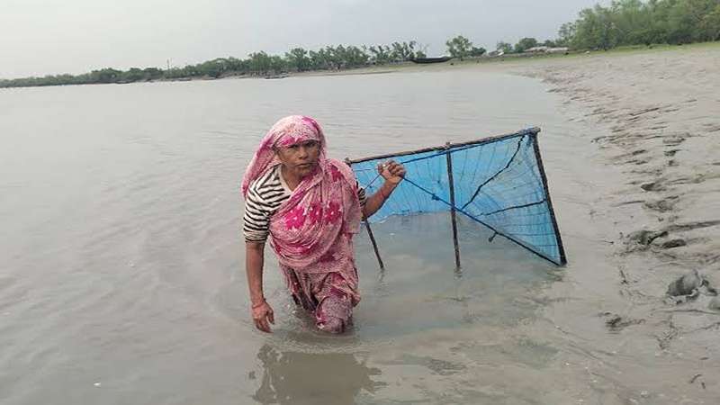 সুন্দরবনের জুলেখার নিরন্তর লড়াই সুন্দরবনের জুলেখার নিরন্তর লড়াই