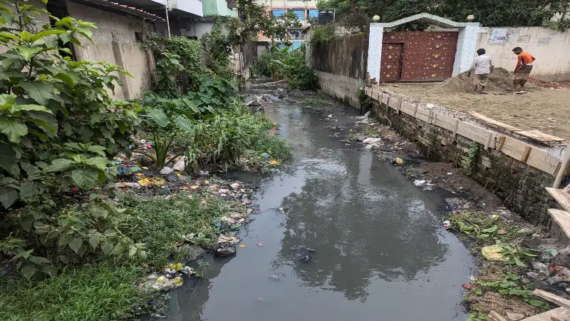 হাটহাজারীতে অরক্ষিত ড্রেন: স্কুল পথে শিশুদের জীবনের ঝুঁকি হাটহাজারীতে অরক্ষিত ড্রেন: স্কুল পথে শিশুদের জীবনের ঝুঁকি