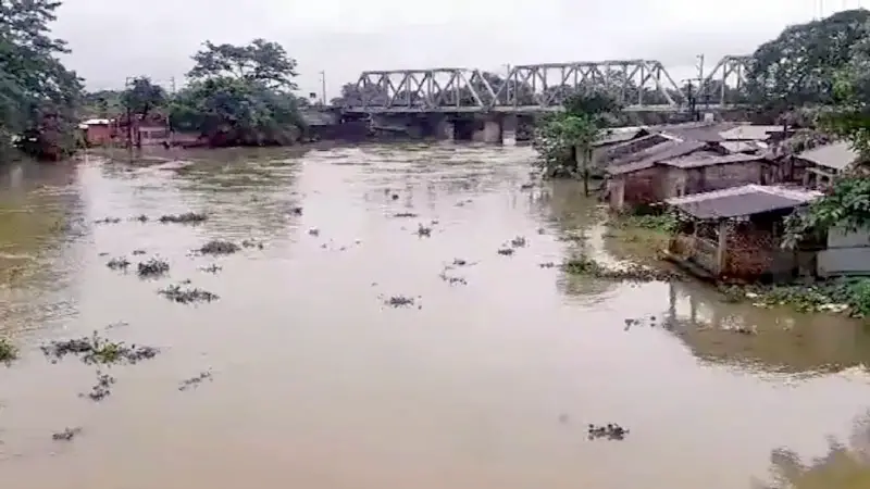 আসামে ভয়াবহ বন্যা: খাবার ও পানির জন্য হাহাকার আসামে ভয়াবহ বন্যা: খাবার ও পানির জন্য হাহাকার