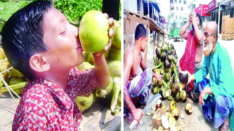 রোগ প্রতিরোধ ক্ষমতা বাড়ায়, স্মৃতিশক্তি ভালো রাখে রোগ প্রতিরোধ ক্ষমতা বাড়ায়, স্মৃতিশক্তি ভালো রাখে