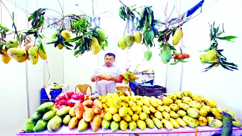 পাহাড়ি ফল জুমের ফসল, খাদ্য সংস্কৃতি পাহাড়ি ফল জুমের ফসল, খাদ্য সংস্কৃতি