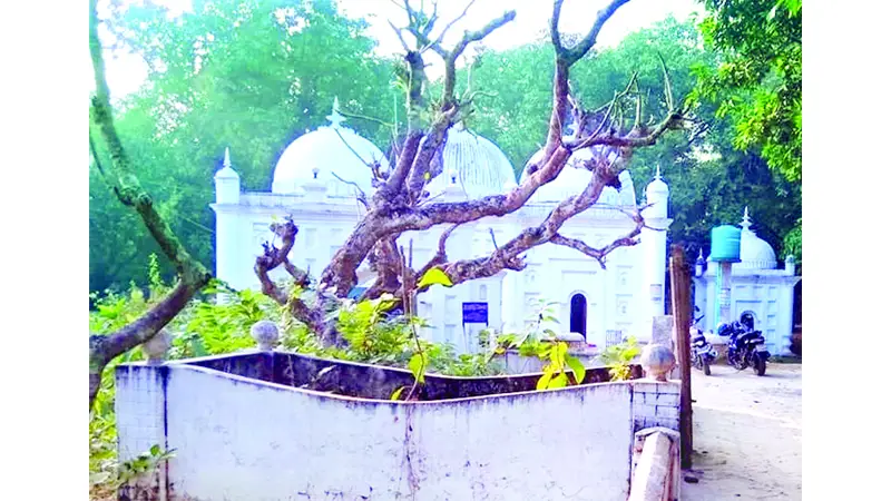 জাগো বাহে কোনঠে সবায়...’ জাগো বাহে কোনঠে সবায়...’