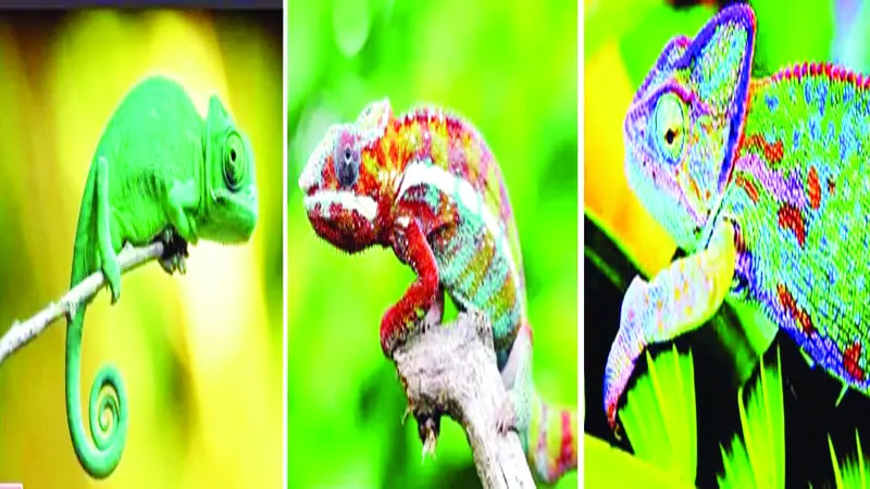 ক্ষণে ক্ষণে রং বদলায় নানান রূপে প্রকাশ ক্ষণে ক্ষণে রং বদলায় নানান রূপে প্রকাশ
