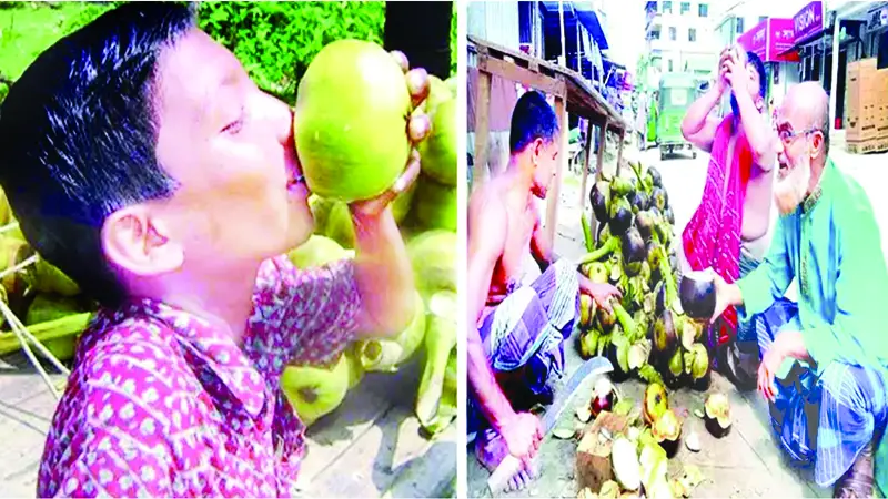 আছে প্রচুর অ্যান্টি অক্সিডেন্ট ভিটামিন, রোগ প্রতিরোধ ক্ষমতা বাড়ায়