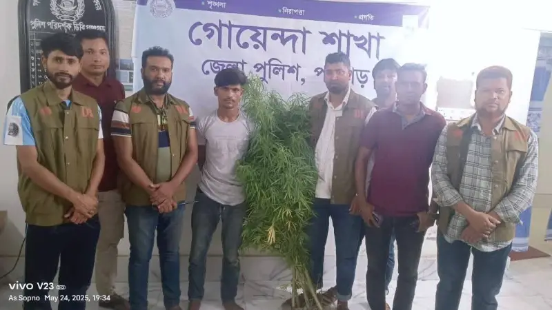 বাদামের ছলে গাঁজার চাষ! পঞ্চগড়ে যুবক গ্রেপ্তার বাদামের ছলে গাঁজার চাষ! পঞ্চগড়ে যুবক গ্রেপ্তার