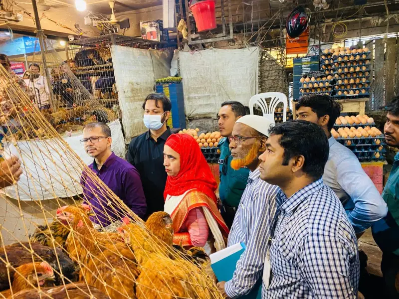 কমেছে ডিম, পিয়াজ ও আলুর দাম কমেছে ডিম, পিয়াজ ও আলুর দাম