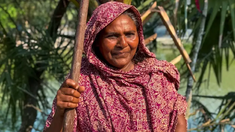 আল–জাজিরার প্রতিবেদনে মহফুজা বেগম: সুন্দরবনের গহীনে এক নারীর সাহসিকতার গল্প আল–জাজিরার প্রতিবেদনে মহফুজা বেগম: সুন্দরবনের গহীনে এক নারীর সাহসিকতার গল্প