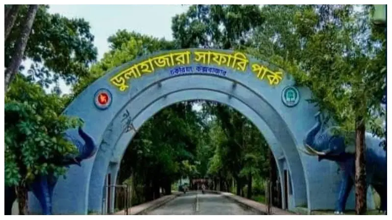 সাফারি পার্কে ৩ কোটি টাকার উন্নয়ন কাজে টেন্ডার জালিয়াতি, গোপন মূল্য ফাঁস সাফারি পার্কে ৩ কোটি টাকার উন্নয়ন কাজে টেন্ডার জালিয়াতি, গোপন মূল্য ফাঁস