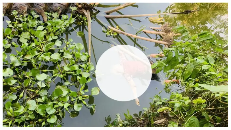গফরগাঁওয়ে নিখোঁজের ৪ দিন পর মাছের খামার থেকে শিশু শিক্ষার্থীর লাশ উদ্ধার গফরগাঁওয়ে নিখোঁজের ৪ দিন পর মাছের খামার থেকে শিশু শিক্ষার্থীর লাশ উদ্ধার