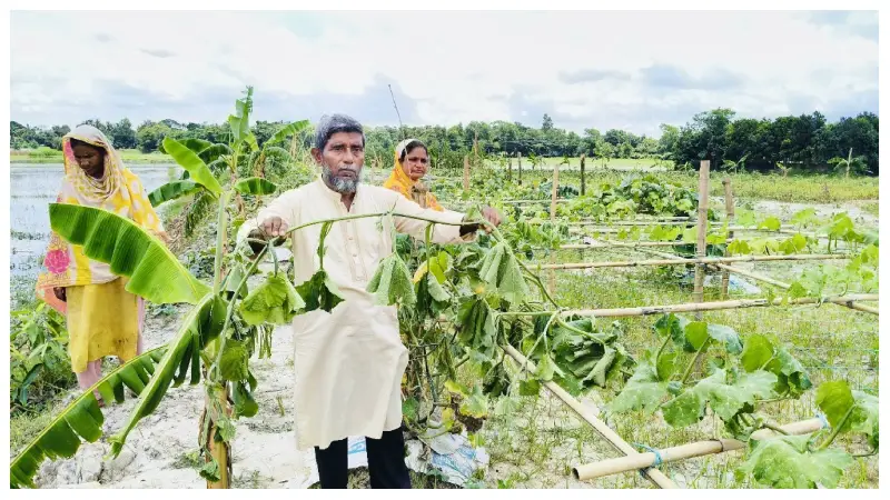 কুমিল্লার তিতাসে প্রবাসীর ৪০ শতক জমির সবজি গাছ কেটে দিল দুর্বৃত্তরা কুমিল্লার তিতাসে প্রবাসীর ৪০ শতক জমির সবজি গাছ কেটে দিল দুর্বৃত্তরা