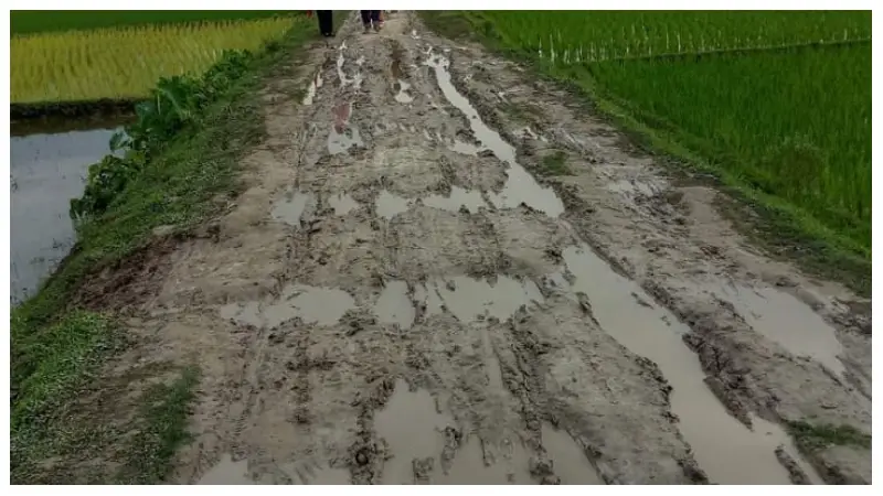 একটি পাকা রাস্তার অভাবে বিয়ে ভেঙে যায় রায়গঞ্জের ৭গ্রামের ছেলে মেয়েদের! একটি পাকা রাস্তার অভাবে বিয়ে ভেঙে যায় রায়গঞ্জের ৭গ্রামের ছেলে মেয়েদের!
