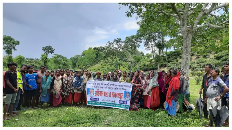 সাতছড়ি বাগানে চা শ্রমিকদের বিক্ষোভ সাতছড়ি বাগানে চা শ্রমিকদের বিক্ষোভ