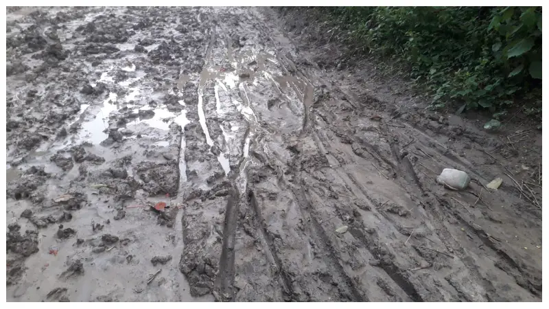 নির্বাচন আসলেই সবাই কথা দেয়, কেউ কথা রাখে না, আমাদের রাস্তাও পাকা হয় না নির্বাচন আসলেই সবাই কথা দেয়, কেউ কথা রাখে না, আমাদের রাস্তাও পাকা হয় না