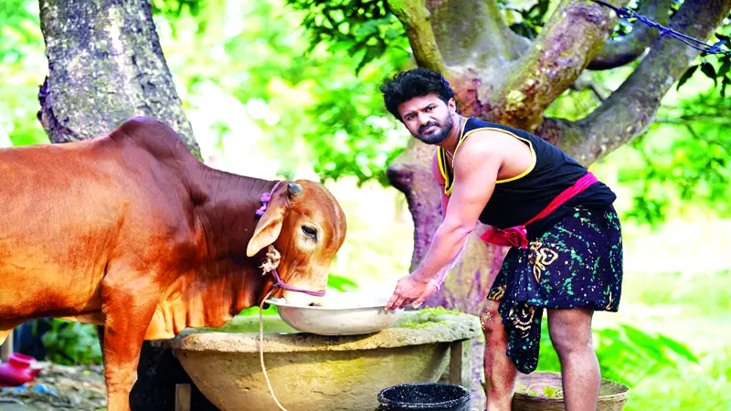 নাটকের নাম ভূমিকায় গরু নাটকের নাম ভূমিকায় গরু