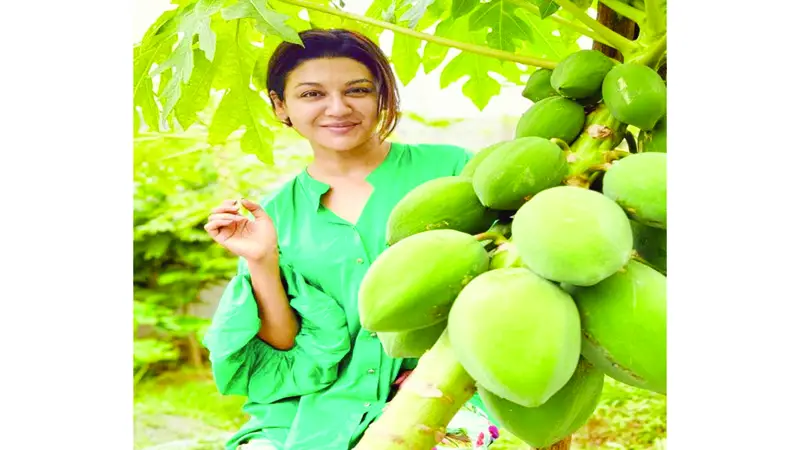 জয়ার ছোট্ট খামার, নিঃশব্দ সুখ জয়ার ছোট্ট খামার, নিঃশব্দ সুখ