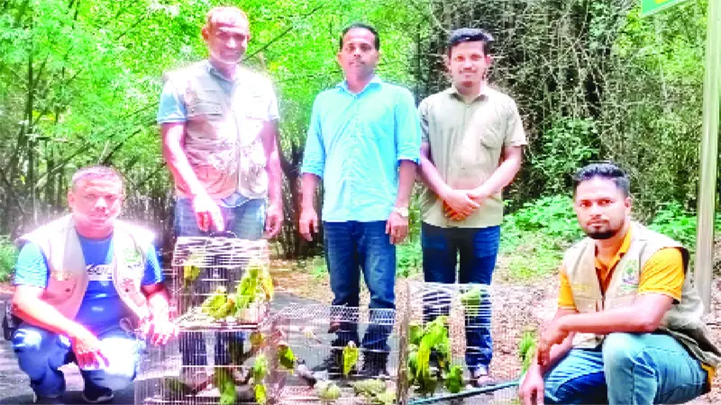 মিরপুরে পাখির হাটে অভিযান 