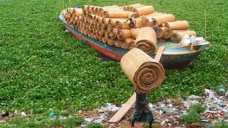 কোরবানির প্রস্তুতি