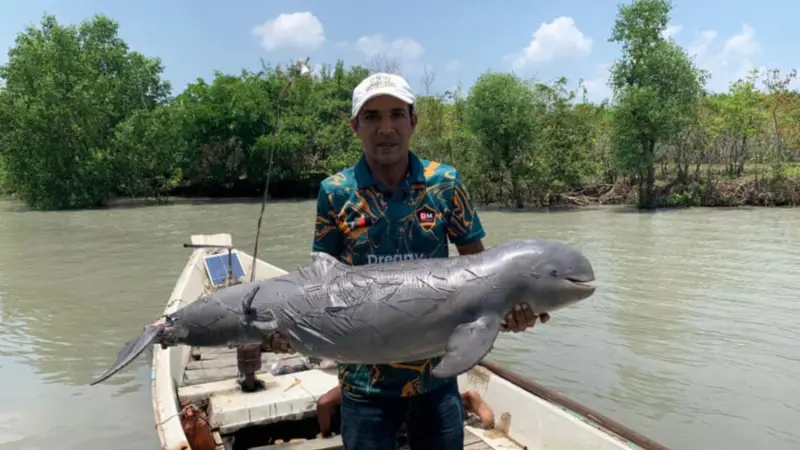 বরগুনার পায়রা নদী থেকে মৃত ডলফিন উদ্ধার বরগুনার পায়রা নদী থেকে মৃত ডলফিন উদ্ধার